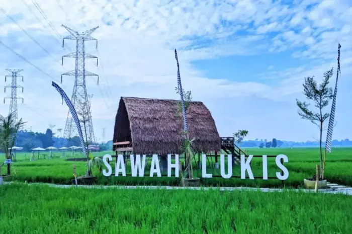 Sawah Lukis Binjai, Wisata Yang Memadukan Keindahan Alam & Berbagai Aktivitas Seru