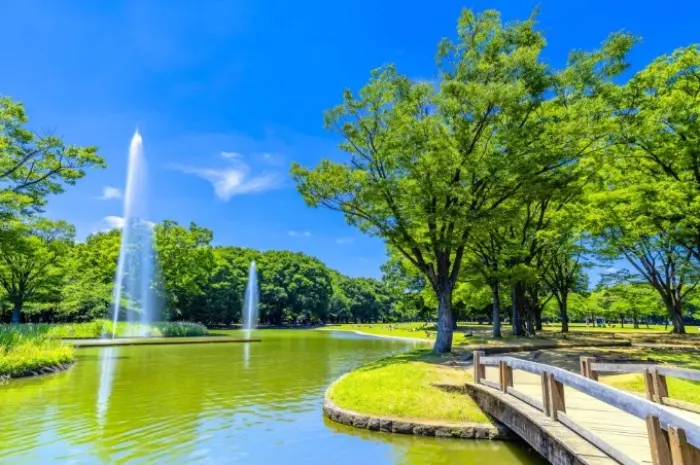 Taman Yoyogi Tokyo, Taman Indah yang Memiliki Perjalanan Sejarah dan Peristiwa Penting